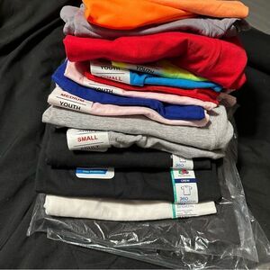 Bundle of 17 Cotton blank t-shirts for circuit, vinyl craft fun, various brands
